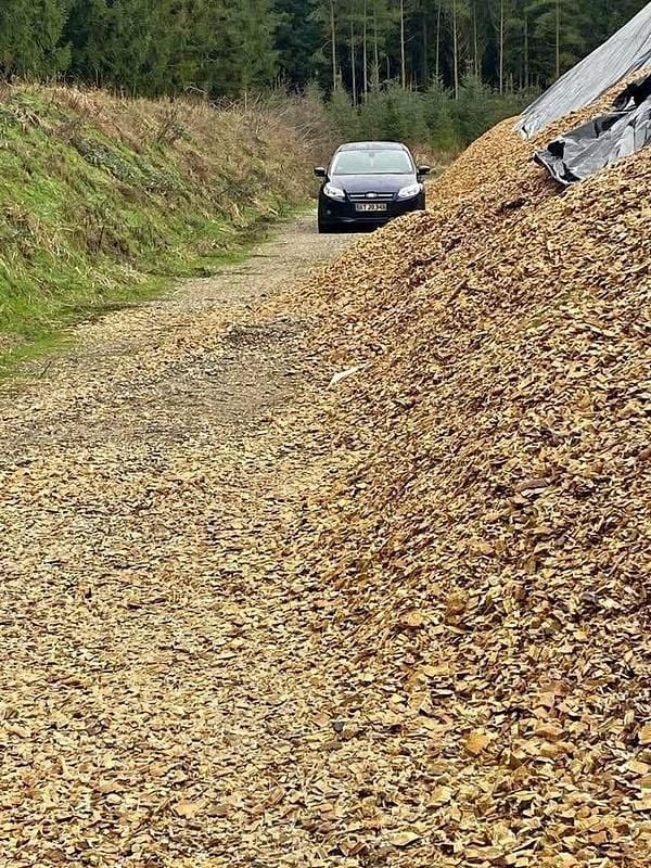 Brugt 2001 Ford Focus Hatchback | 12.345 kr. - Billede 1/4