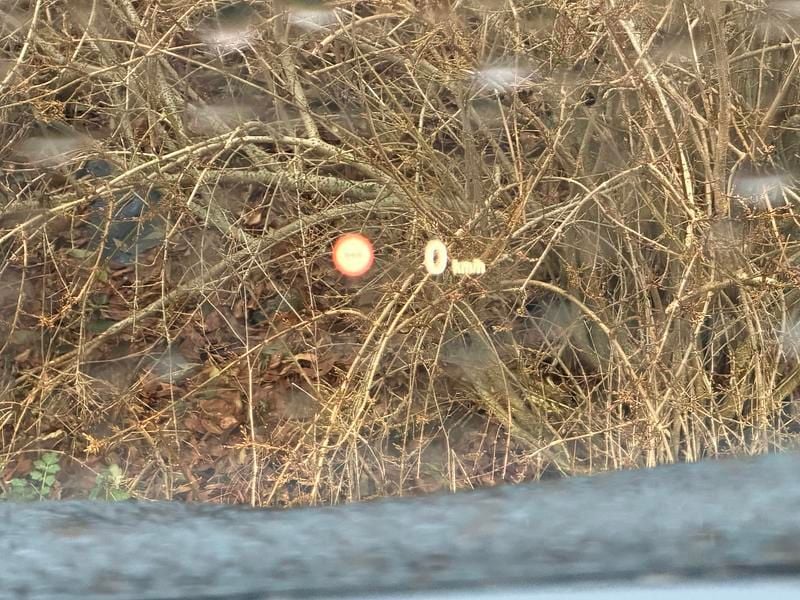 Sort Brugt 2012 BMW 520 M Sport Stationcar | 99.500 kr. (God pris) - Billede 1/8