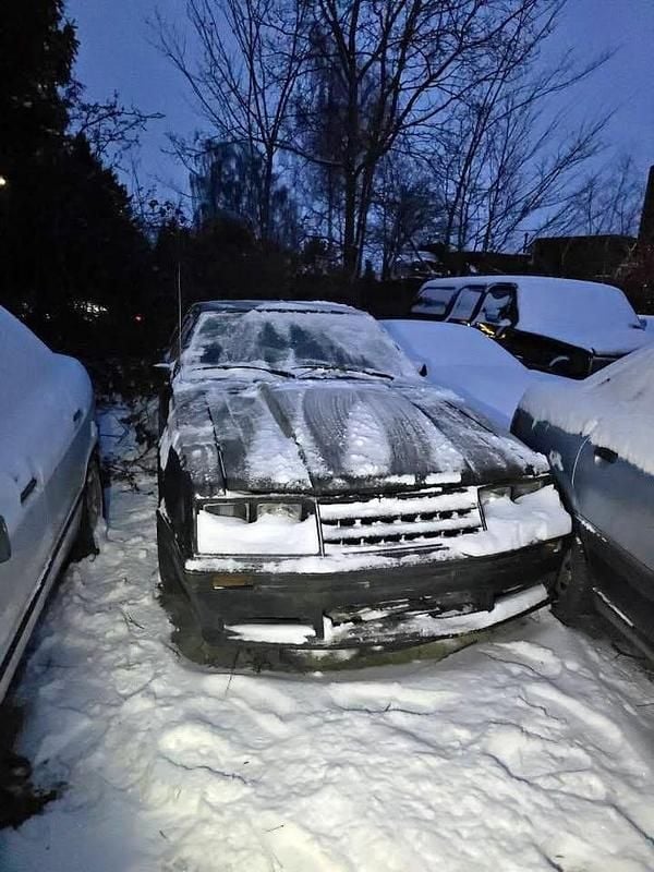 Brugt Ford Mustang 1980 Coupe