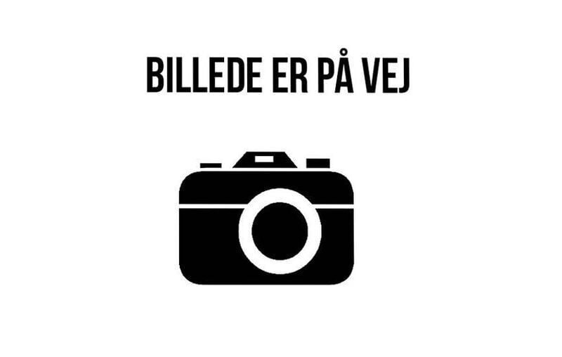 Billede 1