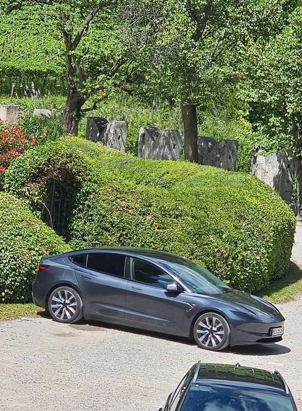 Brugt Tesla Model 3 Performance 461 kW (627 HK) 2024 Sedan