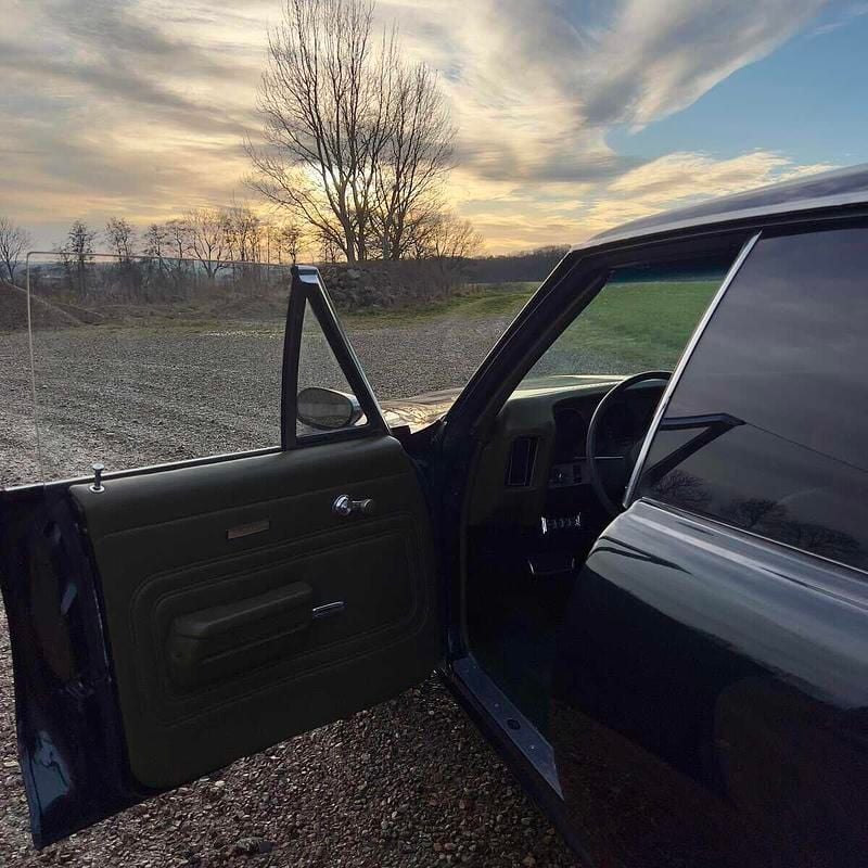 Brugt Pontiac LeMans 1971 Grøn Sedan