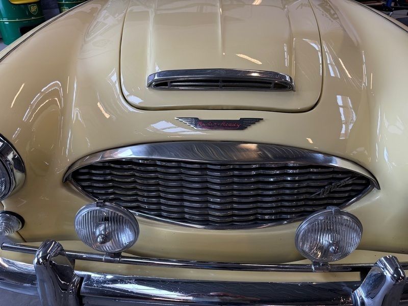 Brugt Austin Healey 100/6 1959 N/a Cabriolet