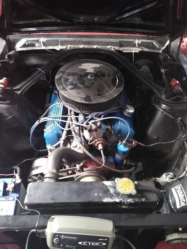 Brugt Ford Mustang Convertible 200 HK (147 kW) 1965 Rød Cabriolet