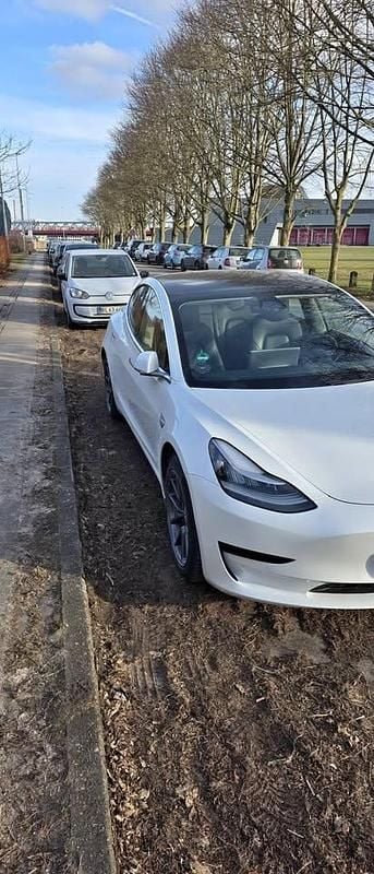 Brugt Tesla Model 3 Standard Range Plus 208 kW (283 HK) 2020 Hvid Sedan