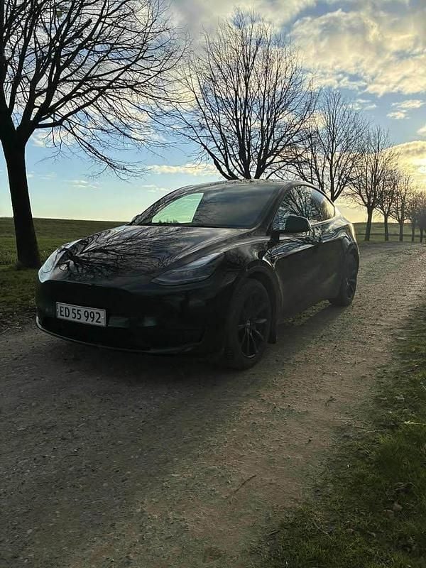 Brugt Tesla Model Y Standard Range 219 kW (299 HK) 2023 SUV