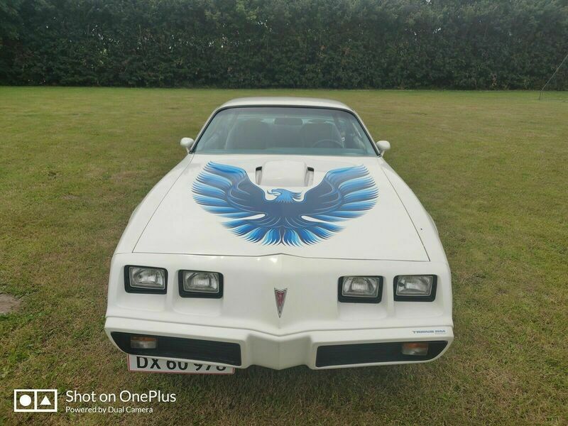 Brugt Pontiac Trans Am 1979 N/a