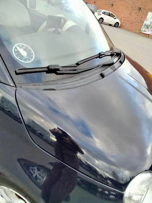 Brugt Fiat 500 69 HK (50 kW) 2011 Hatchback