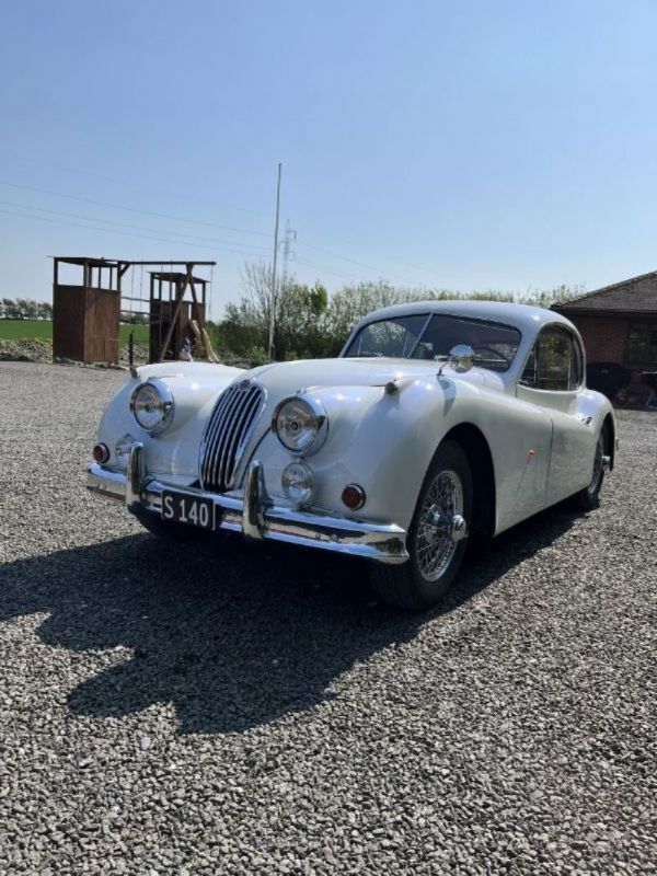 Brugt 1955 Jaguar XK | 495.000 kr. - Billede 1/1
