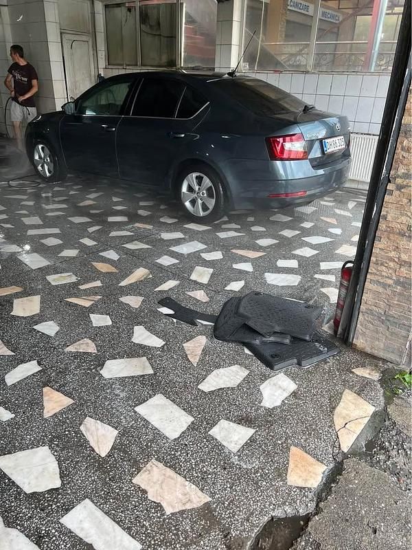 Brugt Skoda Octavia 115 HK (84 kW) 2019