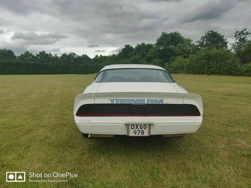 Brugt Pontiac Trans Am 1979 N/a