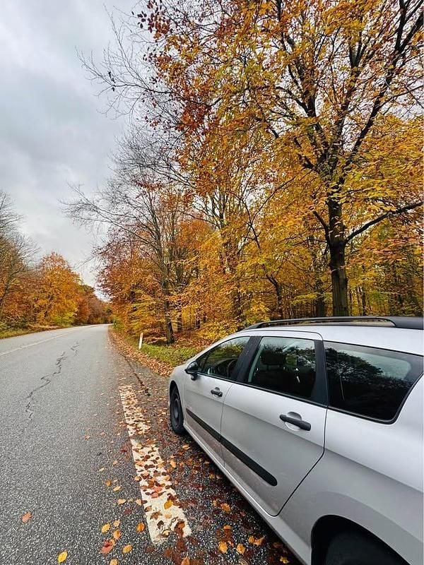 Brugt Peugeot 308 110 HK (80 kW) 2008 Stationcar