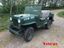 brugt Jeep Willys  CJ3B / M606