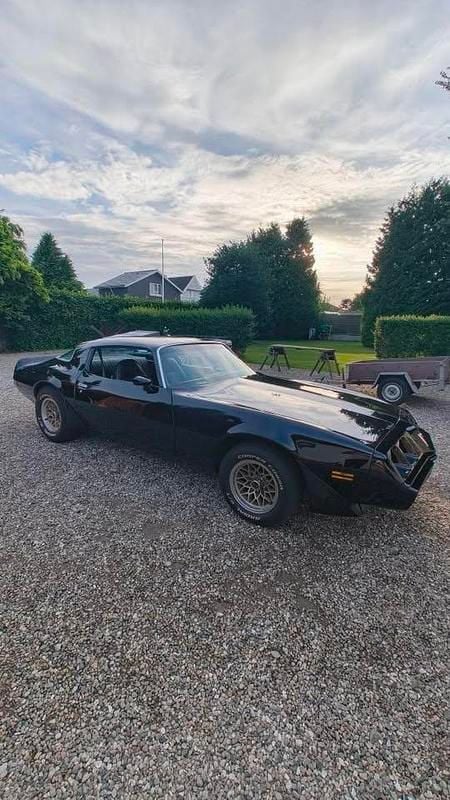 Brugt Pontiac Firebird 1980 Coupe