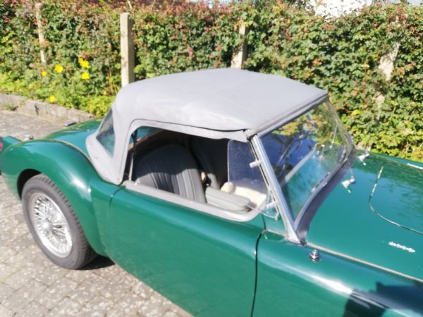 Brugt 1960 MG MGA Cabriolet | 175.000 kr. - Billede 1/1