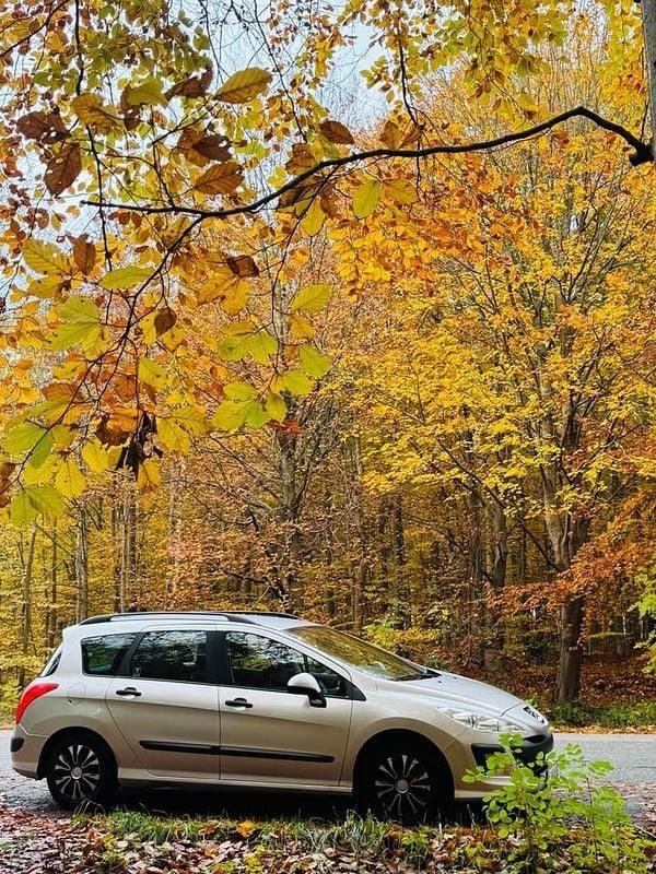 Brugt Peugeot 308 110 HK (80 kW) 2008 Stationcar