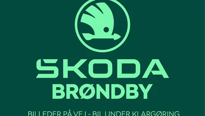 Brugt Skoda Kamiq 110 HK (80 kW) 2022 Blåmetal SUV