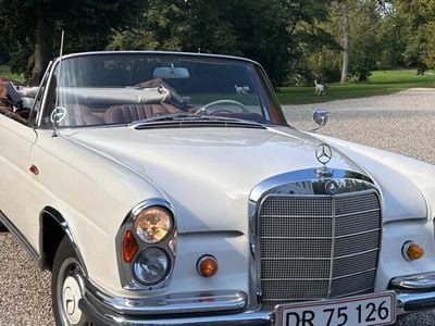 Hvid Brugt 1964 Mercedes 220 SE | 640.000 kr.