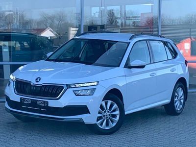 brugt Skoda Kamiq 1,0 TSi 110 Dynamic DSG