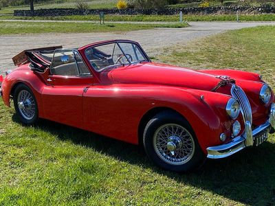Rød Brugt 1954 Jaguar XK | 695.000 kr.