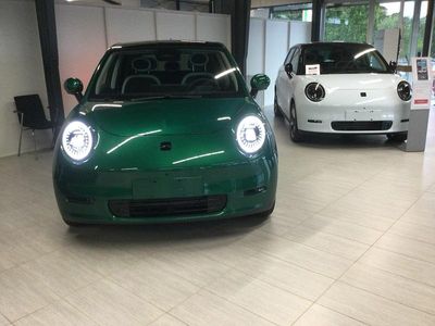 Ny 2025 JAC E30X Hatchback | 214.900 kr.