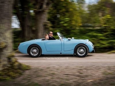 Blå Brugt 1959 Austin Healey Sprite | 125.000 kr.