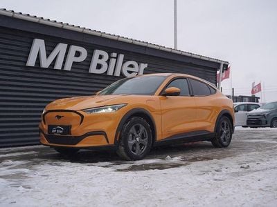 Brugt Ford Mustang Mach-E Standard Range 197 kW (268 HK) 2025 Gul SUV