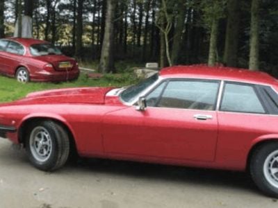 Brugt Jaguar XJS S 300 HK (220 kW) 1977 N/a Coupe