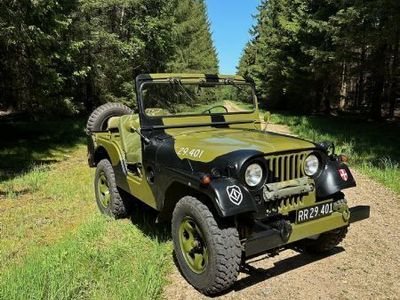 brugt Jeep Willys M38A1