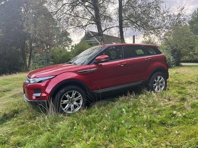 Rød Brugt 2013 Land Rover Range Rover evoque Dynamic SUV | 167.900 kr.
