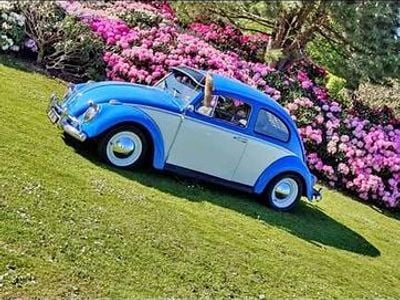 Brugt 1959 VW Beetle Coupe | 89.900 kr.