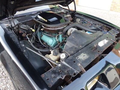 Sort Brugt 1979 Pontiac Trans Am | 170.000 kr.