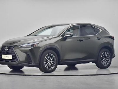 Terrane khaki Brugt 2024 Lexus NX450h+ Business Edition SUV | 459.900 kr. (Fair pris)