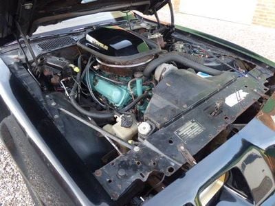 Brugt 1979 Pontiac Firebird | 180.000 kr.