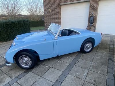 brugt Austin Healey Sprite mk1