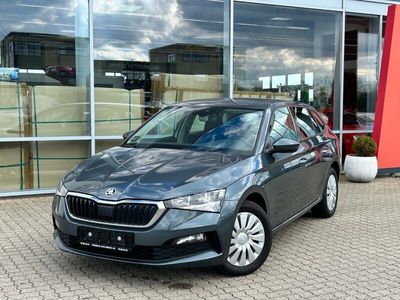 brugt Skoda Scala 1,0 TSi 110 Tour de France DSG