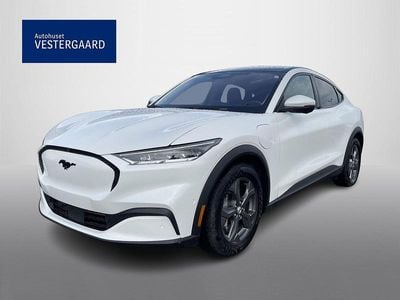 Hvid Brugt 2023 Ford Mustang Mach-E SUV | 284.600 kr. (Lidt for dyr)