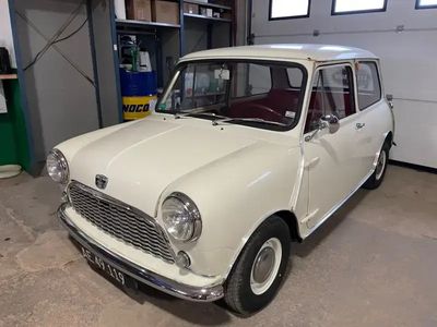 Austin Mini