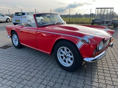 brugt Triumph TR 250 TR 250