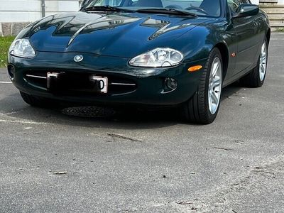 brugt Jaguar XK8 4,0 Coupe