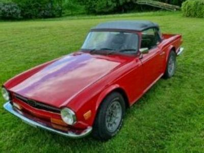 brugt Triumph TR6 cabriolet