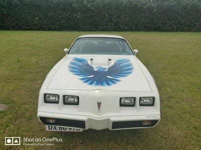 Brugt Pontiac Trans Am 1979 N/a