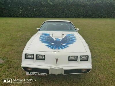 brugt Pontiac Trans Am 6,6