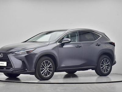Sonic grey Brugt 2024 Lexus NX450h+ Business Edition SUV | 449.900 kr. (Fair pris)