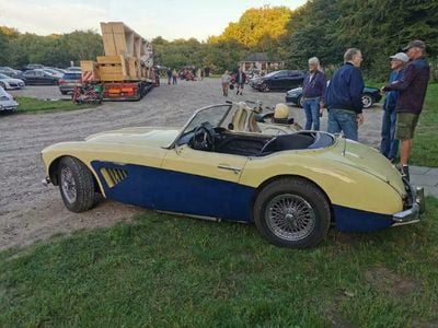 Gul Brugt 1959 Austin Healey 100/6 Cabriolet | 318.000 kr.