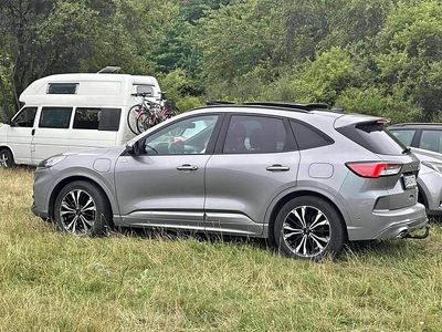 Brugt Ford Kuga ST-Line X 2021 SUV