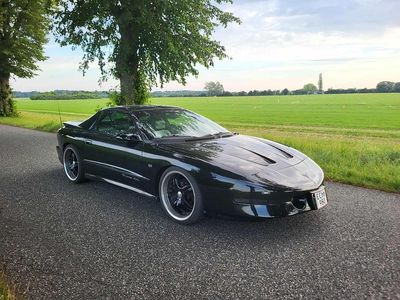 Sort Brugt 1994 Pontiac Trans Am | 159.900 kr.
