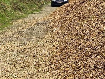 Blå Brugt 2001 Ford Focus Hatchback | 12.345 kr.