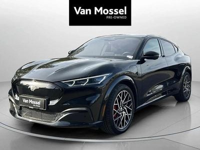 Brugt 2021 Ford Mustang Mach-E Standard Range SUV | 229.900 kr. (Lidt for dyr)