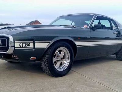 brugt Ford Mustang GT Shelby 350